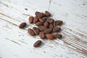 cocoa-bean-1282889__480.jpg