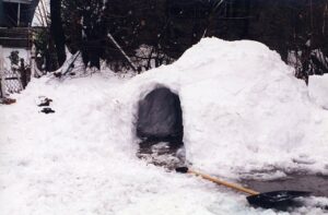 igloo-168784__340.jpg